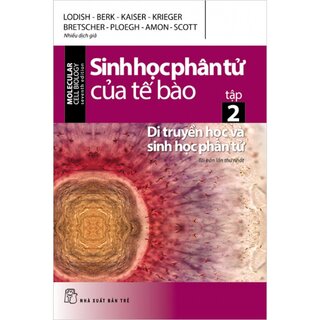 Sinh Học Phân Tử Của Tế Bào - Tập 2: Di Truyền Học Và Sinh Học Phân Tử