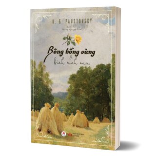 Bông Hồng Vàng Và Bình Minh Mưa