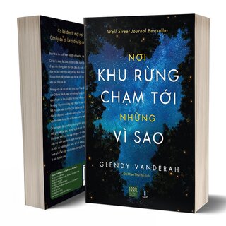 Nơi Khu Rừng Chạm Tới Những Vì Sao - Where the Forest Meets the Stars