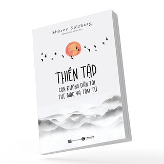 Thiền Tập - Con Đường Dẫn Tới Tuệ Giác Và Tâm Từ