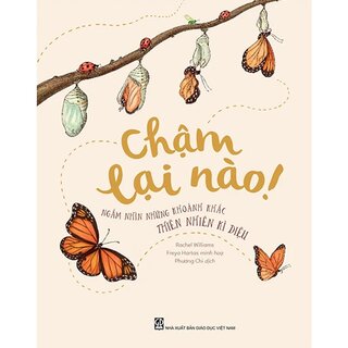 Chậm Lại Nào! Ngắm Nhìn Những Khoảnh Khắc Thiên Nhiên Kì Diệu