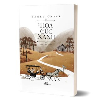 Hoa Cúc Xanh