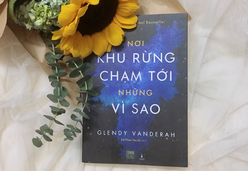 Nơi Khu Rừng Chạm Tới Những Vì Sao - Where the Forest Meets the Stars - Glendy Vanderah